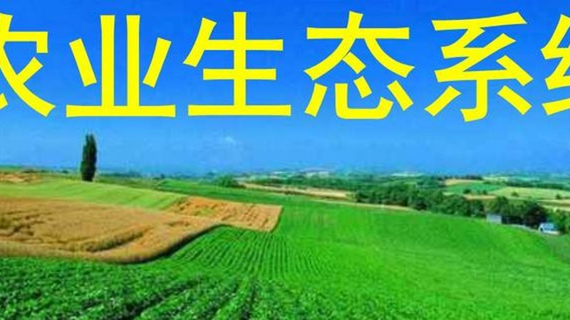 绿色食品认证不通过原因