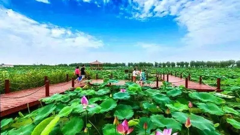 现代农业观光园景观设计方案推荐：打造生态与观光的完美融合