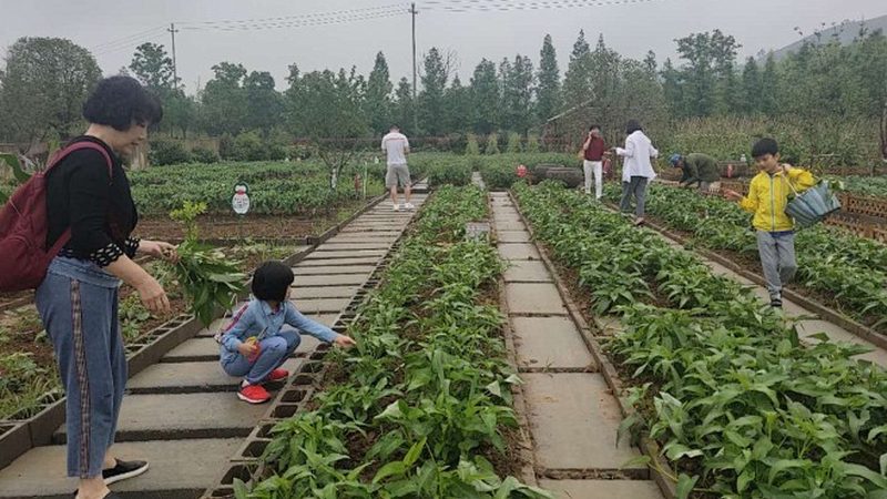 农产品批发商如何办理营业执照**
