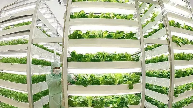 智慧农业项目报价单：揭秘项目成本构成与选型要点