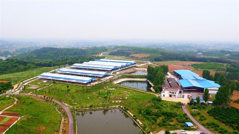 农产品产地直发电商，批发价格背后的秘密