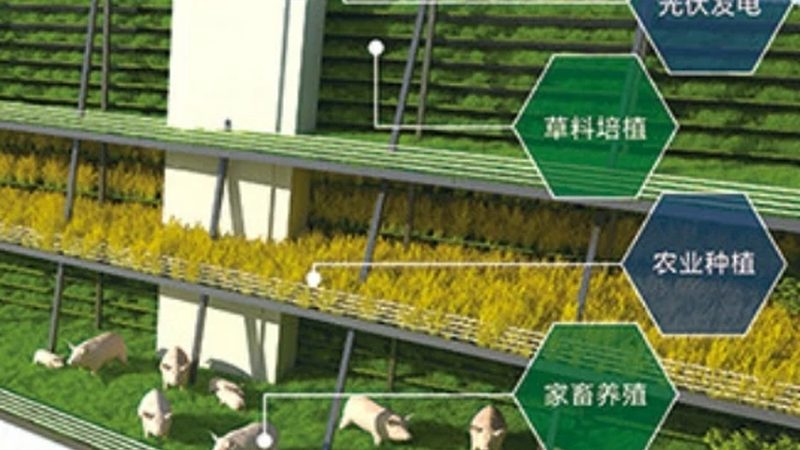 开农资店装修，预算如何分配更合理？**