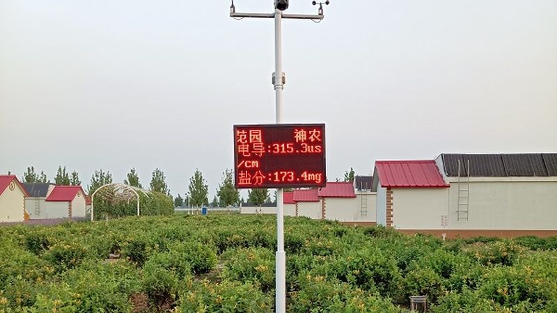 屋顶农业种植注意事项：如何打造高效生态种植空间