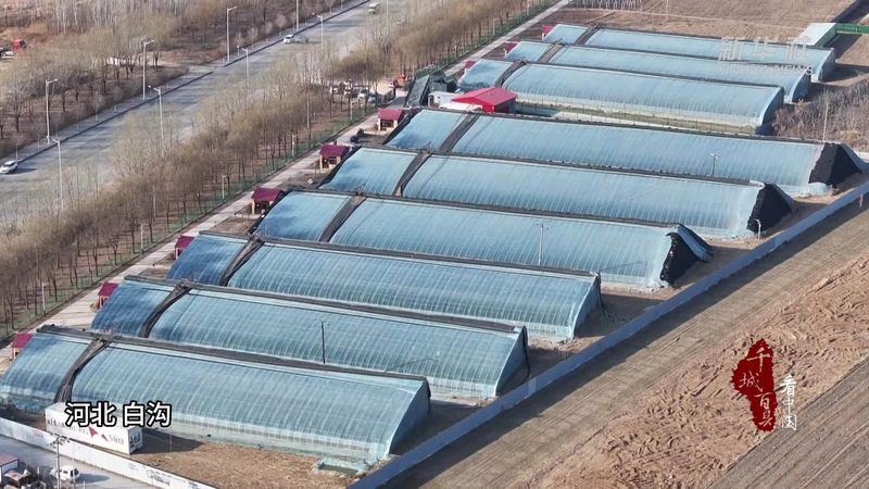 农产品批发市场进货货款结算，这些方式你了解吗？**
