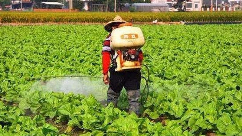 绿色食品认证标识：揭秘十大品牌背后的奥秘