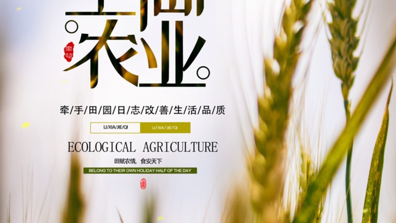 绿色食品公司如何甄别，四大关键点揭秘**